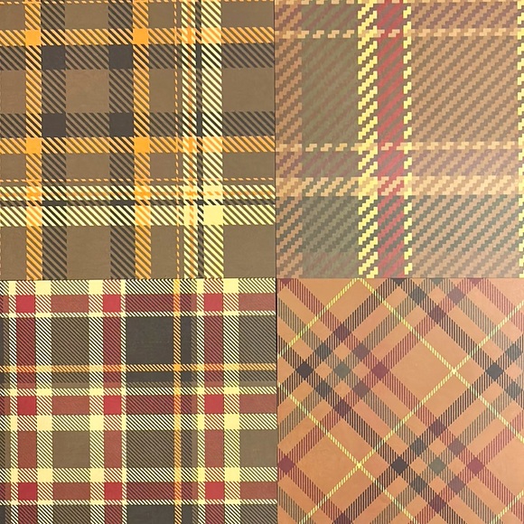 Lot of Fall Scrapbook Paper! Beautiful Autumn Colors! - Picture 4 of 9